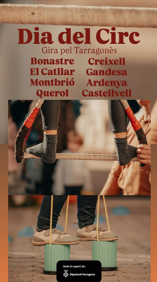 Dia del circ